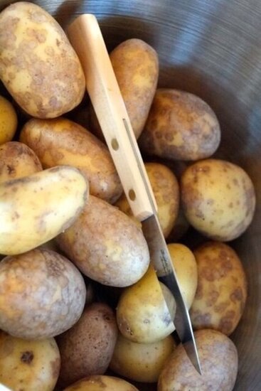 Potato Knife