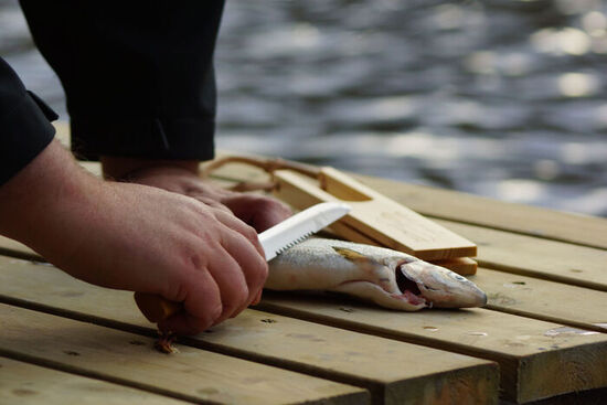 Fish Knife with Wooden Sheath